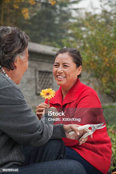 Feliz Casal Idoso Com Flor - Fotografias de stock e mais imagens de Terceira idade - Terceira idade, Vida Doméstica, 55-59 anos