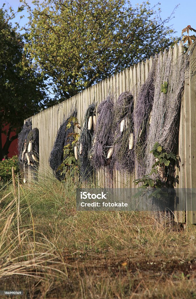 Забор с сухой рыба - Стоковые фото Без людей роялти-фри