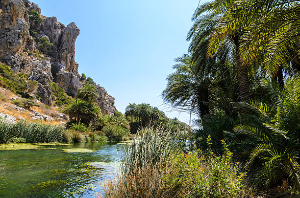 istock Palm forest river Preveli, Crete, Greece 186990544