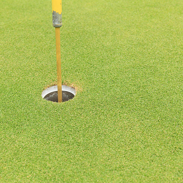 istock Golf hole and flag on green grass 186991036