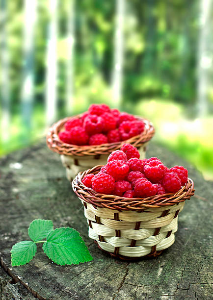 fresh raspberry in a basket stock photo