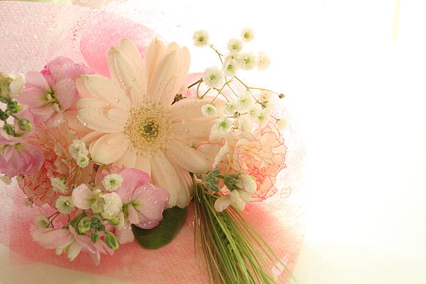carnation and garbera with copy space