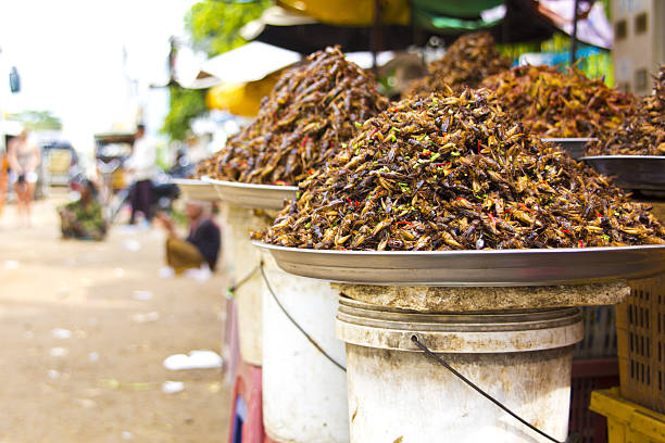 istock notorious bug eating of asia 186991685