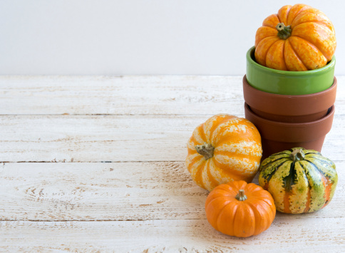 pumpkins and ceramic pots on wooden background