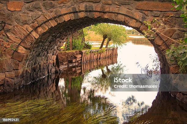 Ponte Brickstone - Fotografie stock e altre immagini di Acqua - Acqua, Acqua fluente, Acquedotto