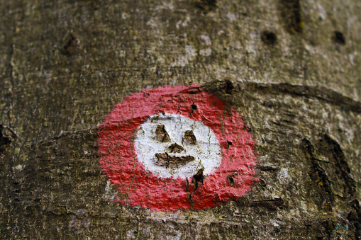 Someone made smiley from a red and white froest hiking trail path marking in the forest.