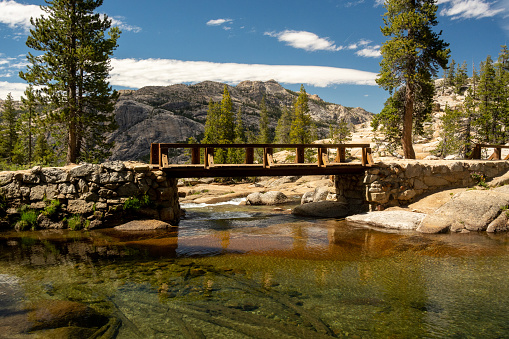 Grand Tetons NP - Wilderness