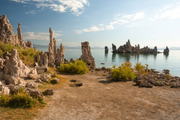 Mono Lake tufa towers on the shore and in the waters of Mono Lake in California Mono Lake stock pictures, royalty-free photos & images