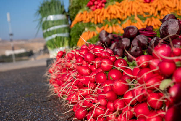 A diverse selection of freshly harvested root vegetables meticulously arranged and ready for purchase