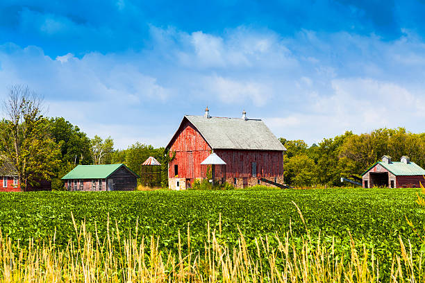 American Farmland With Blue Cloudy Sky