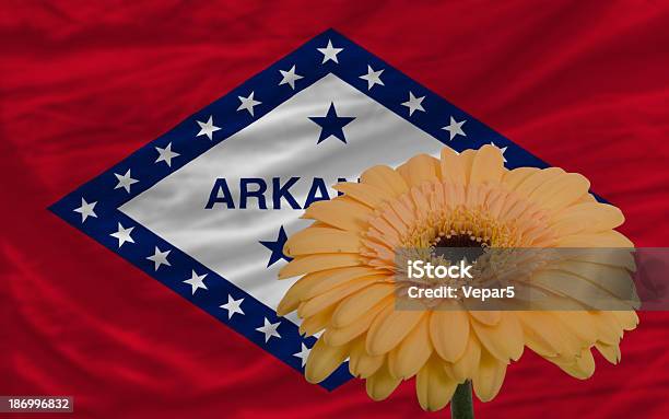 ガーベラ花の前で国旗の米国アーカンソー州 - アメリカ合衆国のストックフォトや画像を多数ご用意 - アメリカ合衆国, アーカンソー州, ガーベラ