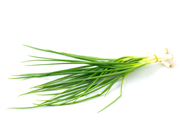 istock Green onion isolated on the white background. Spring onion bunch. Fresh vegetable, top view 1869969876