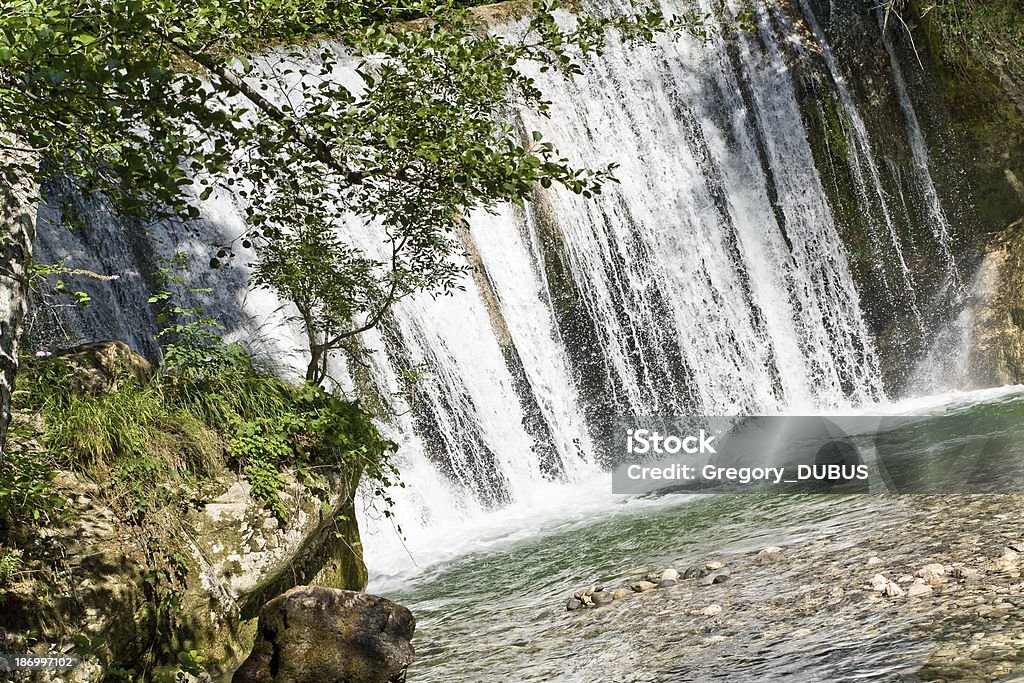 Cachoeira na parede de água - Foto de stock de Bosque - Floresta royalty-free