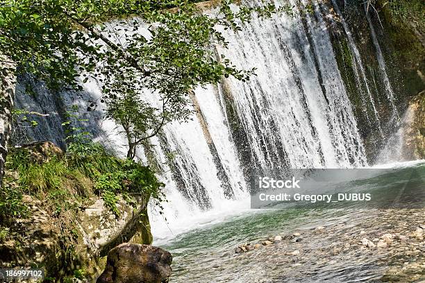 Foto de Cachoeira Na Parede De Água e mais fotos de stock de Bosque - Floresta - Bosque - Floresta, Caindo, Cascata