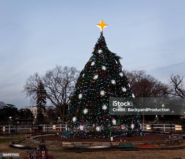 National Albero Di Natale In Cc - Fotografie stock e altre immagini di Albero - Albero, Albero di natale, Albero sempreverde