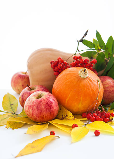 istock Autumnal pumpkins, apples and ashberry with fall leaves 186998338