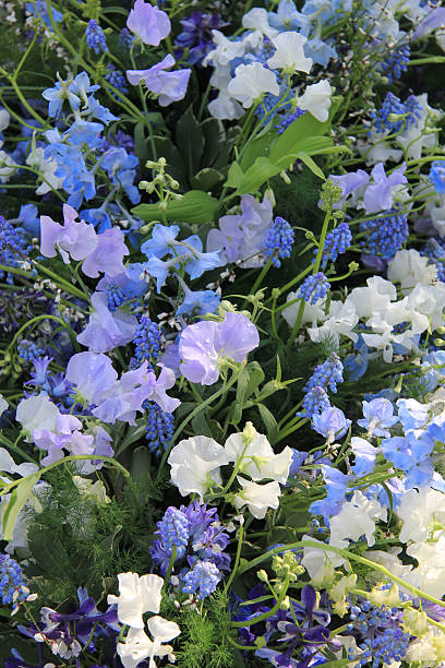 istock Flower arrangement in differend shades of blue 186998795