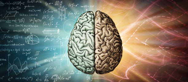 istock The human brain is a creative background. The right creative hemisphere compared to the left logical hemisphere. A concept on the topic of education, science and medicine. 1869989391