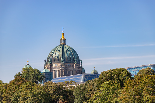 A picture of the Berlin Cathedral dome as seen above the treetops.