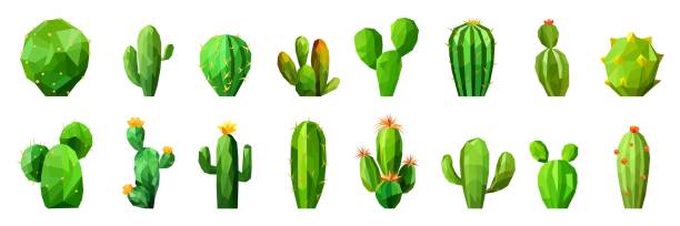 istock Set of a polygonal green cactus. Minimalist low poly art style collection. 1870000572