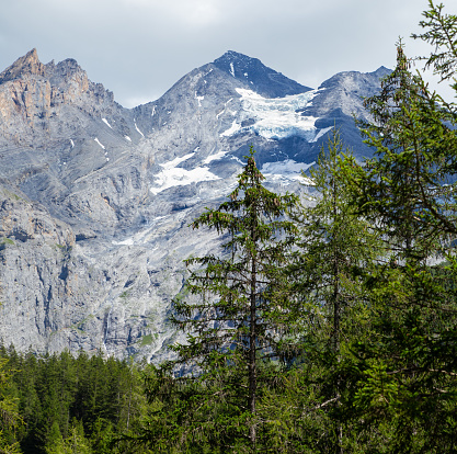 Alps mountain peak with glacier and pine tree in Kandersteg, Switzerland