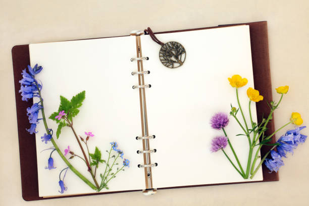 istock English Spring Wildflower Nature Study 1870007447