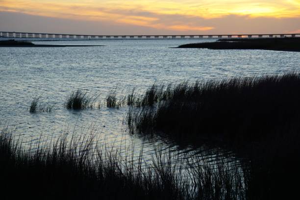 202203 Goose Island State Park TX