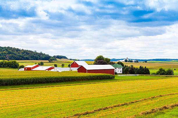 istock American Countryside Corn Field With Stormy Sky 187003783