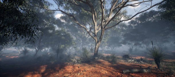 istock Trees and other vegetation in misty desert. 1870043679