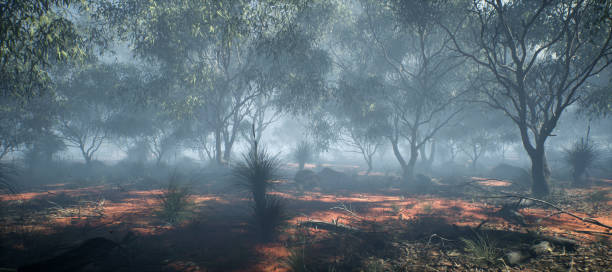 istock Trees and other vegetation in misty desert. 1870043682