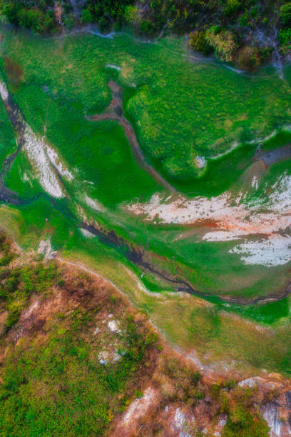 istock Lang Nhot lake in dry season 1870044202