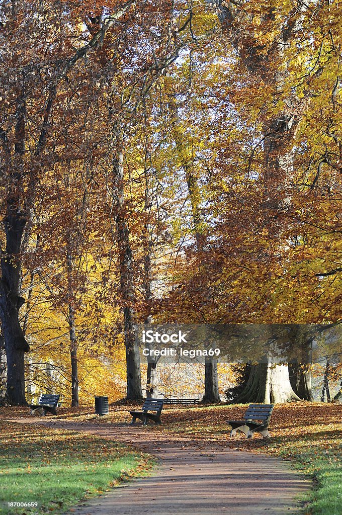 Parc de la Tête d'Or - Lyon The Tête d'Or Park in autumn - Lyon - France Lyon Stock Photo