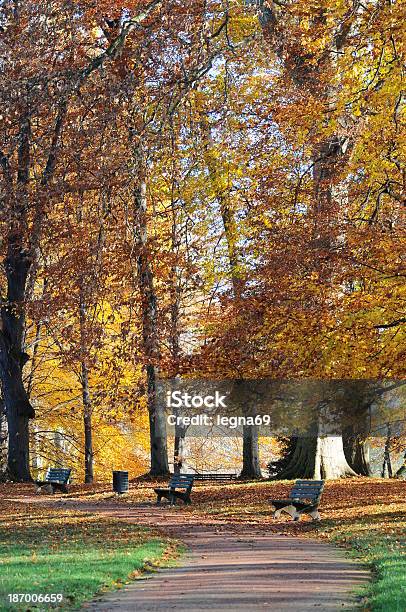 Parc De La Tête Dor Lyon Stock Photo - Download Image Now - Lyon, At The Edge Of, Autumn