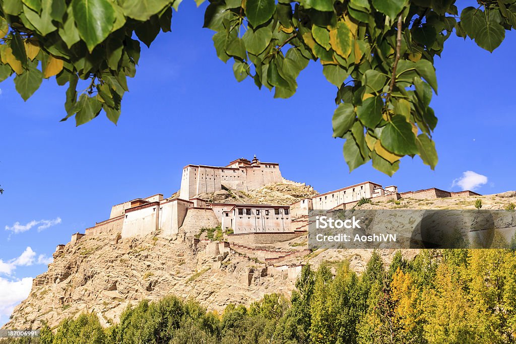 Castello in Tibet - Foto stock royalty-free di Albero