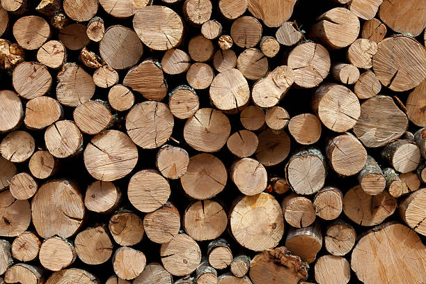 istock Firewood stacked in the woodpile 187007046