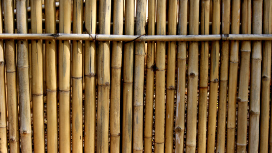 Bamboo background of Asian Art.