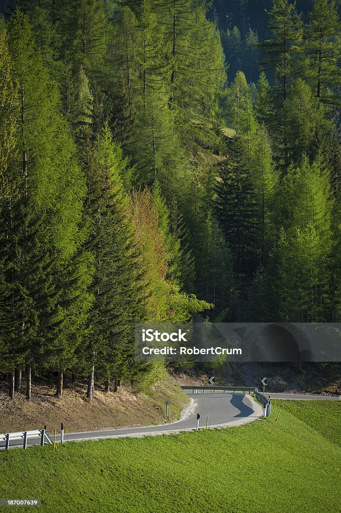 Straße in den Dolomiten, Italien - Lizenzfrei Baum Stock-Foto