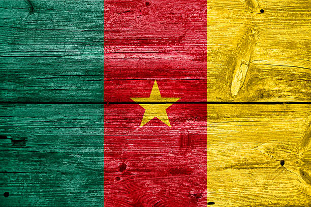 drapeau camerounais peintes sur fond de planche de bois vieux - peeling paint wall white photos et images de collection