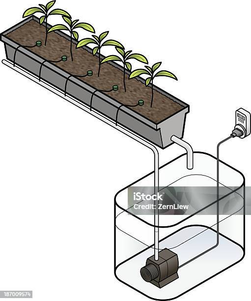 Hidropónica - Arte vetorial de stock e mais imagens de Agricultura - Agricultura, Alimentação Saudável, Comida