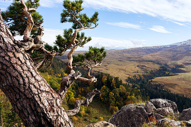 istock Autumn in the mountains 187009943