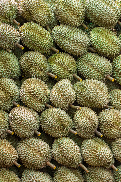 istock thai fruit 187011281