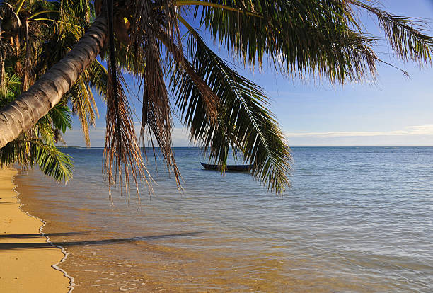 tropical beach and coconut tree Vohilava, Île Sainte Marie, Madagascar: a beach where the Indian ocean is like a lake - photo by M.Torres analanjirofo region stock pictures, royalty-free photos & images