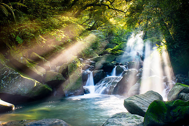 카스카드 폴즈 over mossy 록스 - spring stream landscape boulder 뉴스 사진 이미지