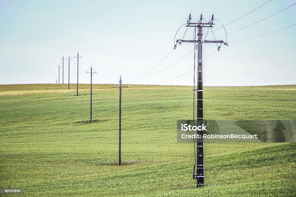 Strommasten In Wheat Field - Lizenzfrei Achtung Hochspannung Stock-Foto