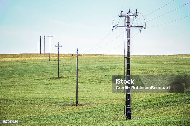 Strommasten In Wheat Field Stockfoto und mehr Bilder von Achtung Hochspannung - Achtung Hochspannung, Agrarbetrieb, Balkengerüst