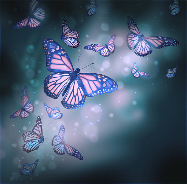 istock Flight of butterflies 187013865
