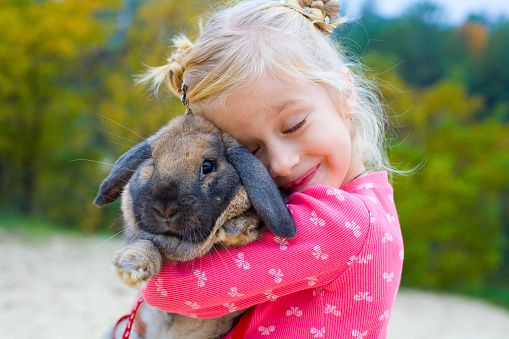 Five-year-old beautiful girl embraces the favourite rabbit