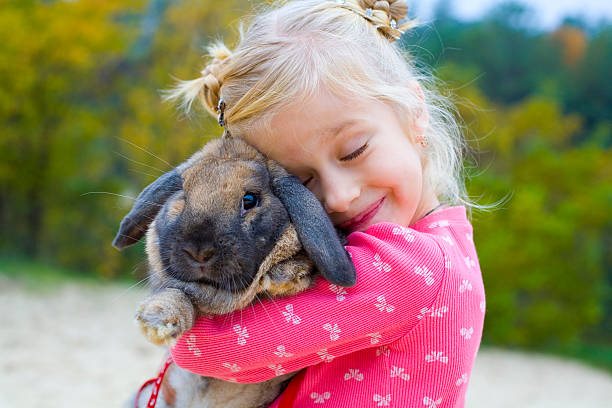 Photo of a little girl in pink clothes hugging a rabbit Five-year-old beautiful girl embraces the favourite rabbit rabbit animal photos stock pictures, royalty-free photos & images