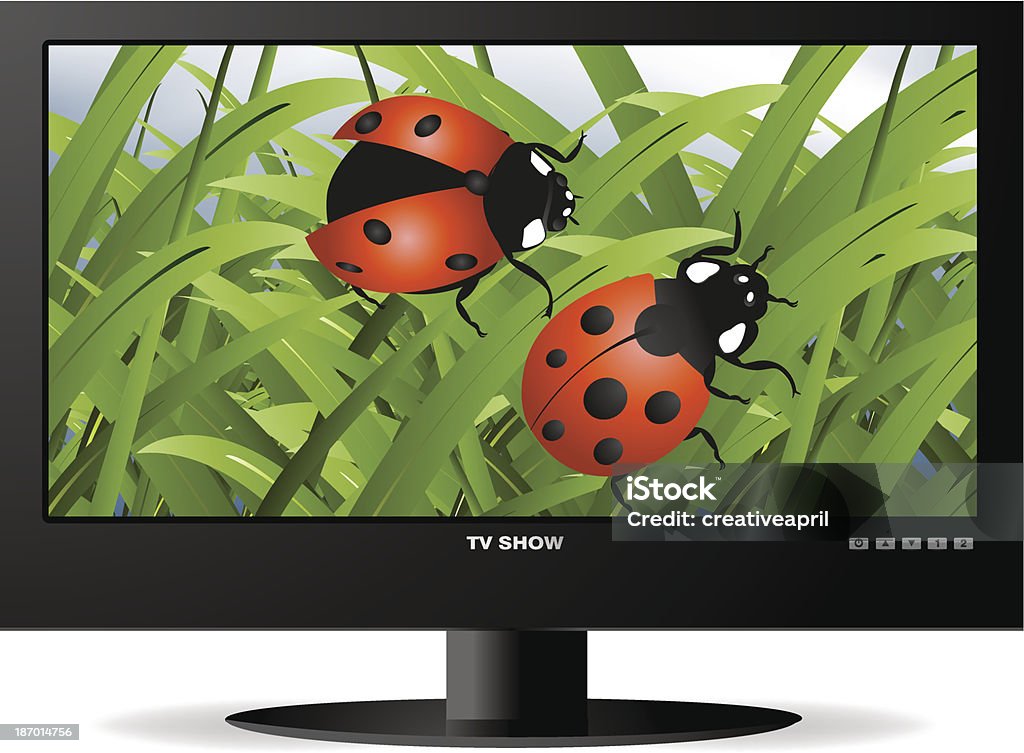 widescreen lcd monitor frontal view of widescreen lcd monitor, and natural view for ladybugs on green grass. Backgrounds stock vector