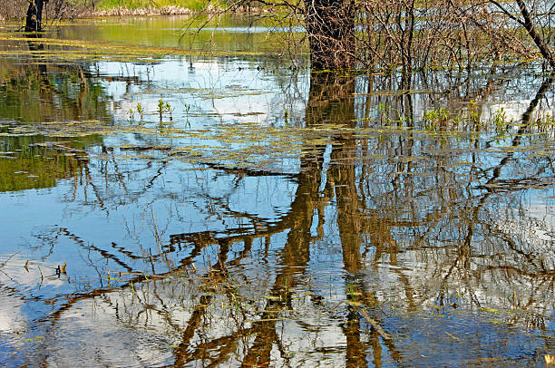 lago inverson minnesota - inverson foto e immagini stock